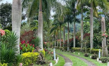 VENTA DE FINCA EN CIUDAD BOLIVAR SUROESTE ANTIOQUEÑO