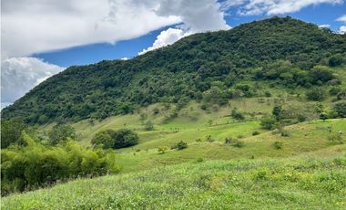 VENTA DE LOTE EN TARSO SUROESTE DE ANTIOQUIA