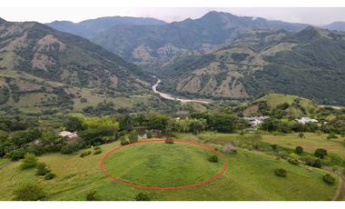 VENTA DE LOTE EN TARSO SUROESTE DE ANTIOQUIA