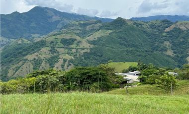 VENTA DE LOTE EN TARSO SUROESTE DE ANTIOQUIA