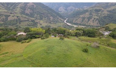 VENTA DE LOTE EN TARSO SUROESTE DE ANTIOQUIA