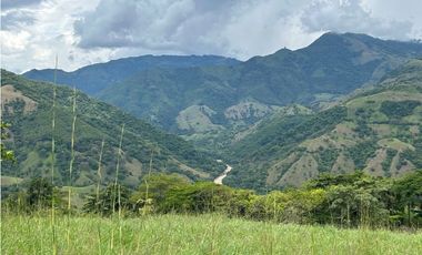 VENTA DE LOTE EN TARSO SUROESTE DE ANTIOQUIA