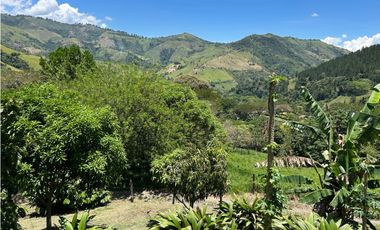 VENTA DE FINCA EN CIUDAD BOLIVAR SUROESTE DE ANTIOQUIA