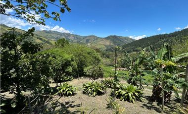 VENTA DE FINCA EN CIUDAD BOLIVAR SUROESTE DE ANTIOQUIA