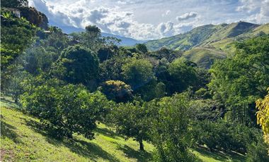 VENTA DE FINCA EN CIUDAD BOLIVAR SUROESTE DE ANTIOQUIA