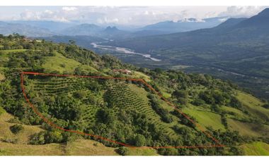 VENTA DE LOTE EN MARSELLA SUROESTE DE ANTIOQUIA