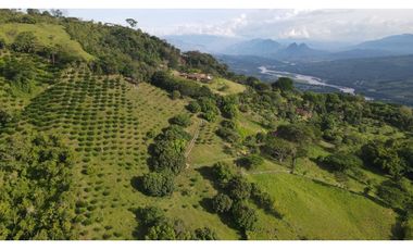 VENTA DE LOTE EN MARSELLA SUROESTE DE ANTIOQUIA
