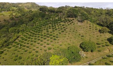 VENTA DE LOTE EN MARSELLA SUROESTE DE ANTIOQUIA