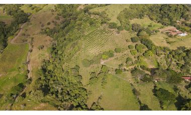 VENTA DE LOTE EN MARSELLA SUROESTE DE ANTIOQUIA