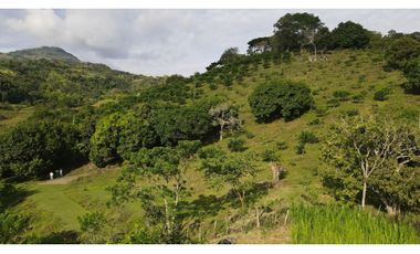 VENTA DE LOTE EN MARSELLA SUROESTE DE ANTIOQUIA