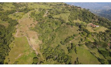 VENTA DE LOTE EN MARSELLA SUROESTE DE ANTIOQUIA
