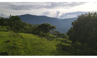 VENTA DE LOTE EN MARSELLA SUROESTE DE ANTIOQUIA