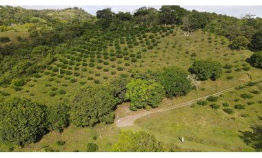 VENTA DE LOTE EN MARSELLA SUROESTE DE ANTIOQUIA