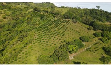 VENTA DE LOTE EN MARSELLA SUROESTE DE ANTIOQUIA