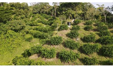 VENTA DE LOTE EN MARSELLA SUROESTE DE ANTIOQUIA