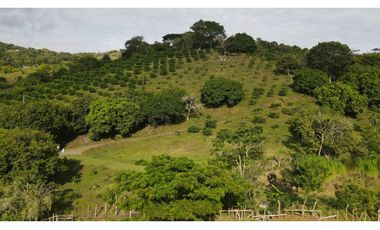 VENTA DE LOTE EN MARSELLA SUROESTE DE ANTIOQUIA