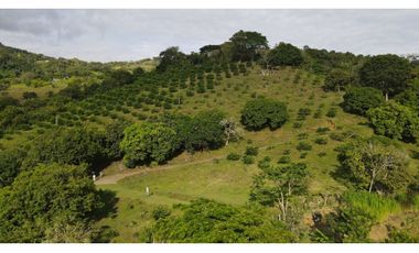 VENTA DE LOTE EN MARSELLA SUROESTE DE ANTIOQUIA