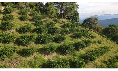 VENTA DE LOTE EN MARSELLA SUROESTE DE ANTIOQUIA