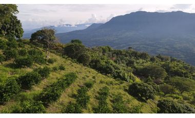 VENTA DE LOTE EN MARSELLA SUROESTE DE ANTIOQUIA