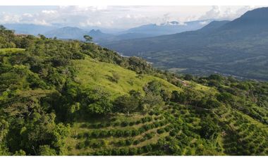 VENTA DE LOTE EN MARSELLA SUROESTE DE ANTIOQUIA