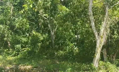 Terreno en Venta en Chunyaxché, Felipe Carrillo Puerto, Quintana Roo