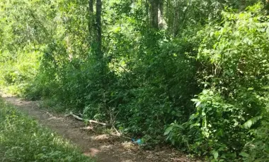 Terreno en Venta en Chunyaxché, Felipe Carrillo Puerto, Quintana Roo