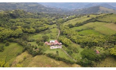 VENTA DE FINCA EN VENECIA SUROESTE ANTIOQUEÑO