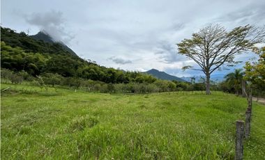 VENTA DE FINCA EN VENECIA SUROESTE ANTIOQUEÑO
