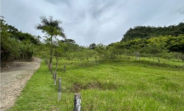 VENTA DE FINCA EN VENECIA SUROESTE ANTIOQUEÑO