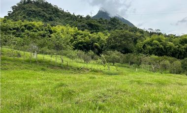 VENTA DE FINCA EN VENECIA SUROESTE ANTIOQUEÑO