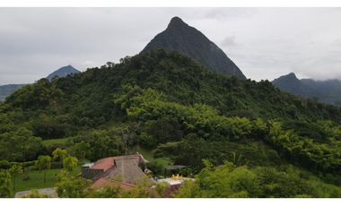 VENTA DE FINCA EN VENECIA SUROESTE ANTIOQUEÑO