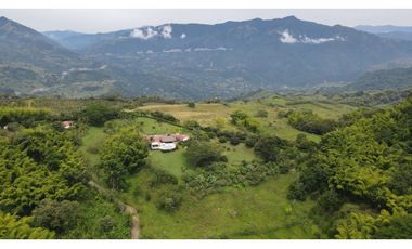 VENTA DE FINCA EN VENECIA SUROESTE ANTIOQUEÑO