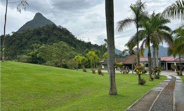 VENTA DE FINCA EN VENECIA SUROESTE ANTIOQUEÑO