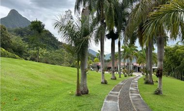 VENTA DE FINCA EN VENECIA SUROESTE ANTIOQUEÑO