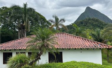 VENTA DE FINCA EN VENECIA SUROESTE ANTIOQUEÑO