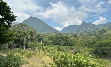 VENTA DE FINCA EN VENECIA SUROESTE ANTIOQUEÑO