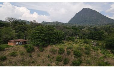 VENTA DE FINCA EN VENECIA SUROESTE ANTIOQUEÑO