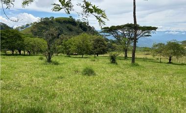 VENTA DE FINCA EN JERICO SUROESTE ANTIOQUEÑO