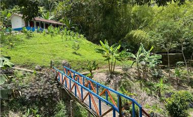 VENTA DE FINCA EN JERICO SUROESTE ANTIOQUEÑO
