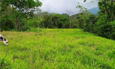 VENTA LOTE SIRIA SUROESTE ANTIOQUEÑO