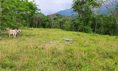 VENTA LOTE SIRIA SUROESTE ANTIOQUEÑO
