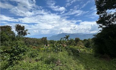 VENTA DE LOTE EN FREDONIA, SUROESTE ANTIOQUEÑO