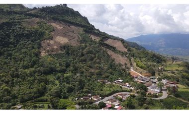 VENTA DE LOTE EN FREDONIA, SUROESTE ANTIOQUEÑO