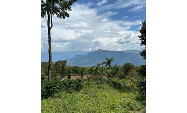 VENTA DE LOTE EN FREDONIA, SUROESTE ANTIOQUEÑO