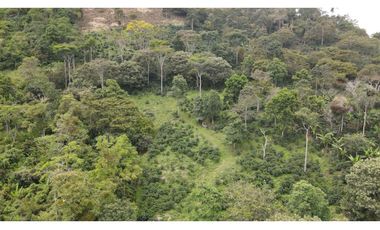 VENTA DE LOTE EN FREDONIA, SUROESTE ANTIOQUEÑO