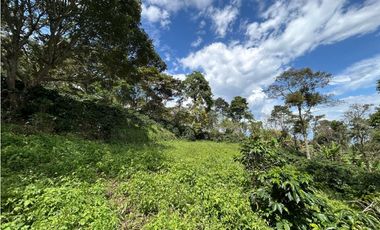 VENTA DE LOTE EN FREDONIA, SUROESTE ANTIOQUEÑO