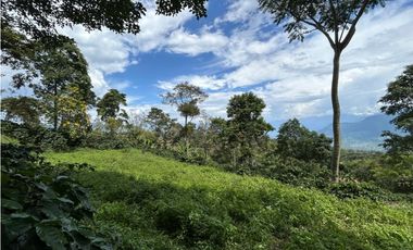 VENTA DE LOTE EN FREDONIA, SUROESTE ANTIOQUEÑO