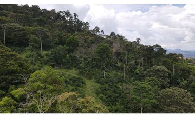 VENTA DE LOTE EN FREDONIA, SUROESTE ANTIOQUEÑO