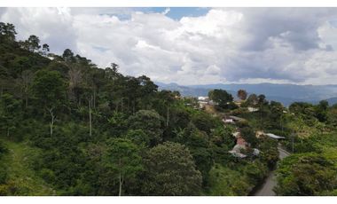 VENTA DE LOTE EN FREDONIA, SUROESTE ANTIOQUEÑO