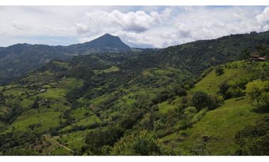 VENTA DE LOTE EN MARSELLA SUROESTE DE ANTIOQUIA